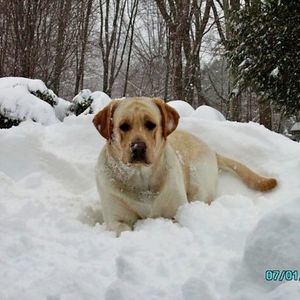 Meet your Posher, Diane